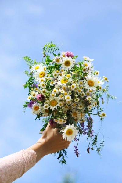 Woman's hand holding a bouquet of wildflowers against blue sky background