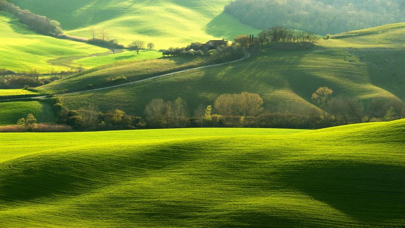 hình ảnh đồng cỏ xanh kiệt tác