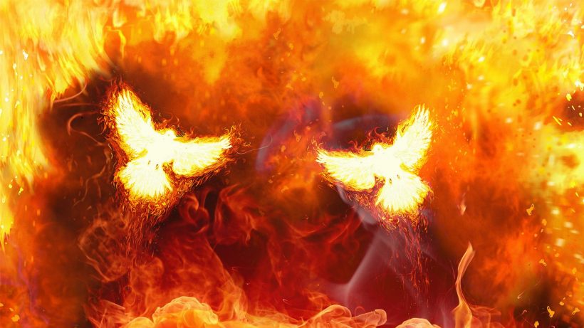 hình nền ngọn lửa đôi chim