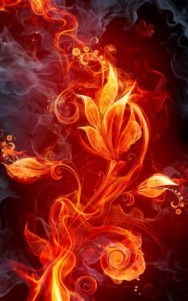 hình nền ngọn lửa hình bông hoa