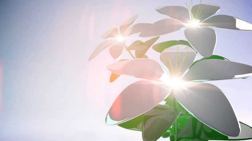hình nền powerpoint 3d về hoa đẹp