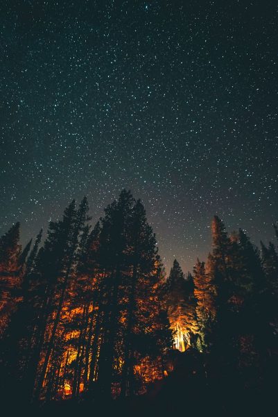 Hình ảnh bầu trời đêm đẹp trong rừng