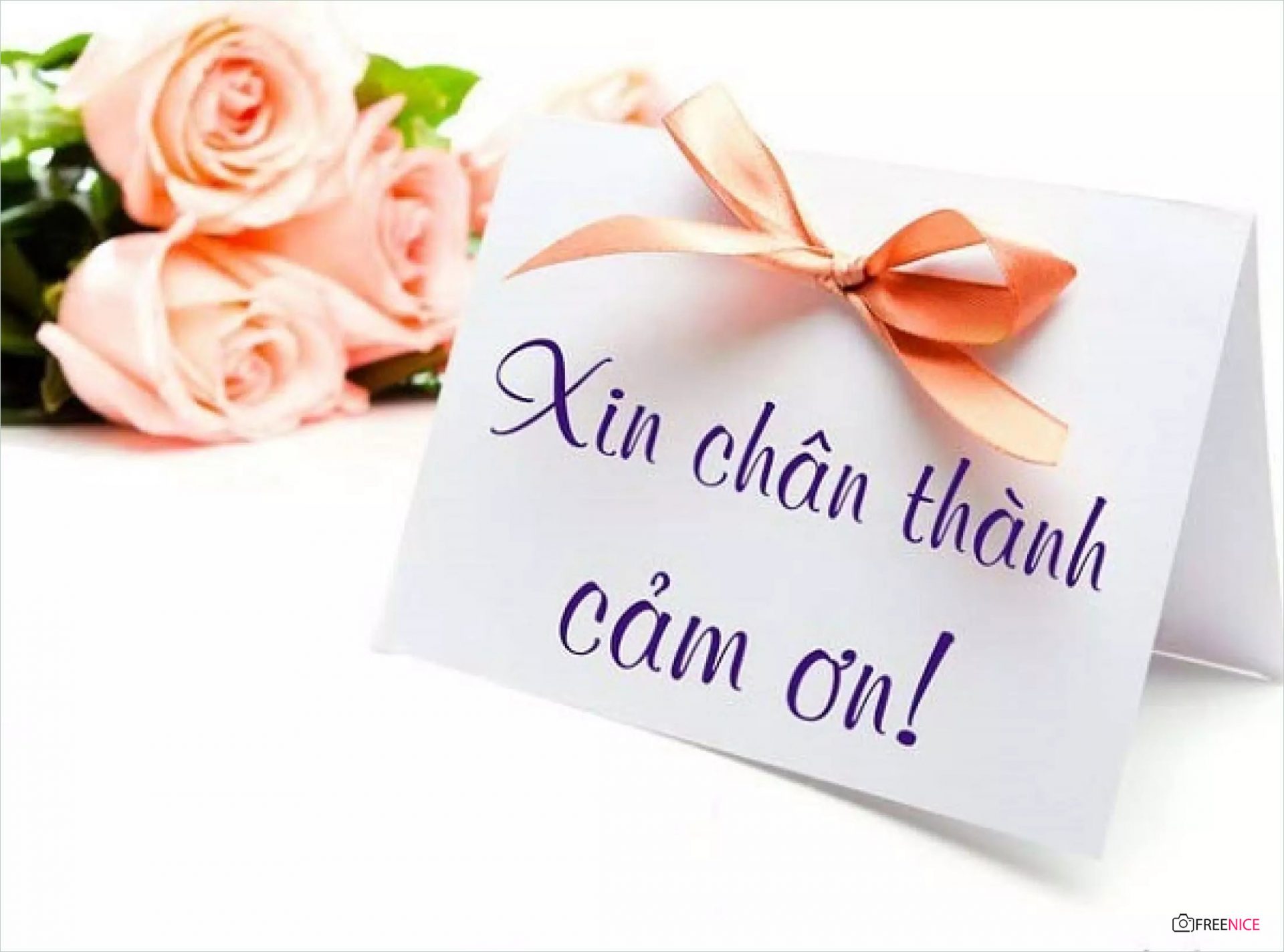 Hình ảnh cảm ơn đẹp: Hãy chiêm ngưỡng bức ảnh đẹp tuyệt vời này để cảm nhận sự chân thành và cảm ơn của người chụp hình dành cho bạn. Bức ảnh sẽ thể hiện sự tri ân của họ đến bạn một cách chân thành và đầy ý nghĩa.