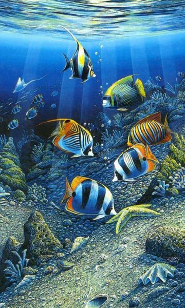 Hình ảnh con cá đầy màu sắc