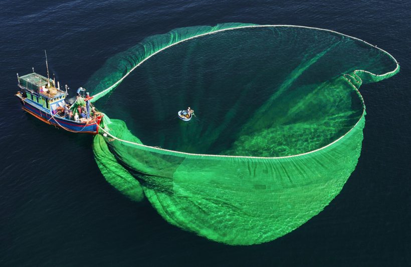 Hình ảnh quê hương đánh bắt cá cơm ở Phú Quốc