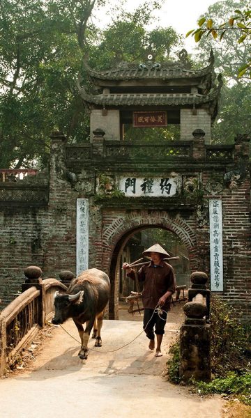 Hình ảnh quê hương đẹp với cổng làng xưa cũ nhưng gắn bó thân thiết