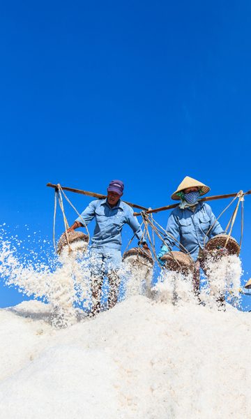Hình ảnh quê hương vẻ đẹp của nghề làm muối
