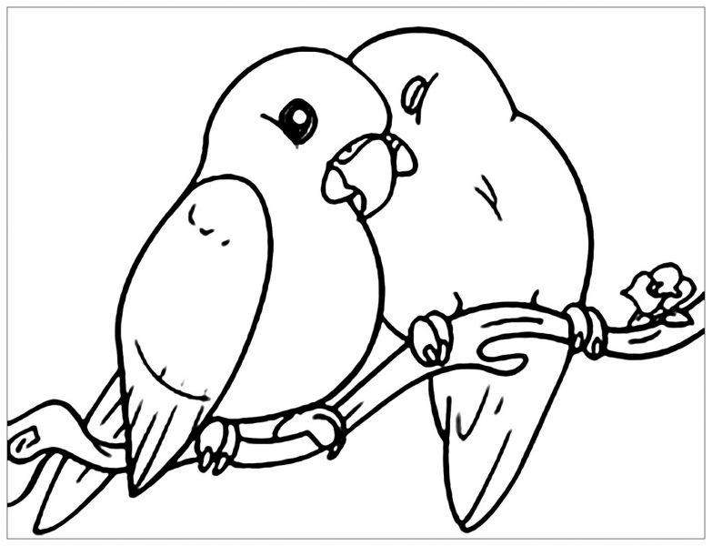 Tranh tô màu 2 chú chim trên cành cây