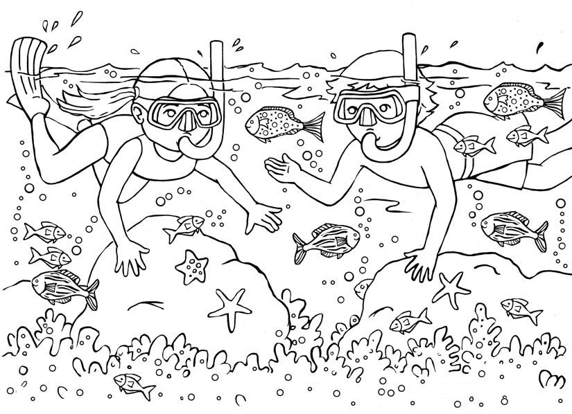 Xem hơn 100 ảnh về hình vẽ san hô daotaonec