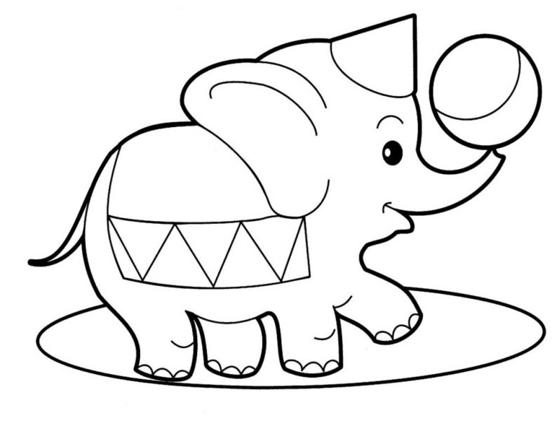 Tranh tô màu cho bé trai 3 tuổi hình chú voi đang làm xiếc
