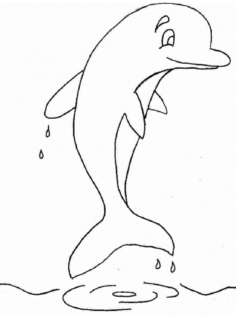 Chia sẻ hơn 67 tranh vẽ con cá heo hay nhất - thtantai2.edu.vn