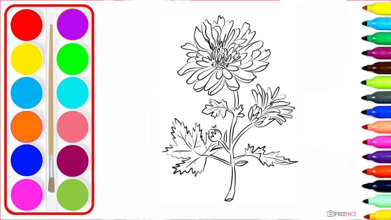 Clip nghệ thuật Vẽ tranh tô màu hình ảnh  hoa cúc đen trắng png tải về   Miễn phí trong suốt Trắng png Tải về