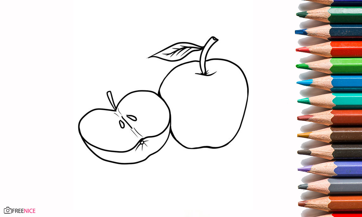 vẽ quả táo  vẽ và tô màu cùng bạn bút chì  học và chơi  YouTube