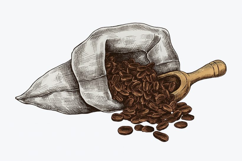 hình túi hạt cafe nguyên chất