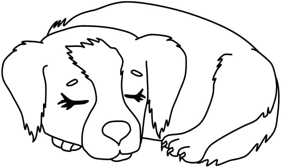 Chia sẻ 298+ vẽ con chó đang nằm mới nhất - thtantai2.edu.vn