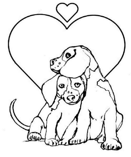Con chó tô màu và hình trái tim