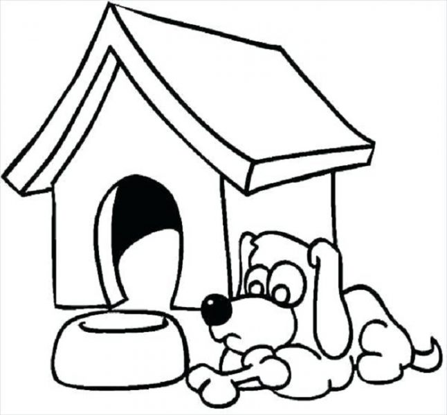 Con chó tô màu và ngôi nhà