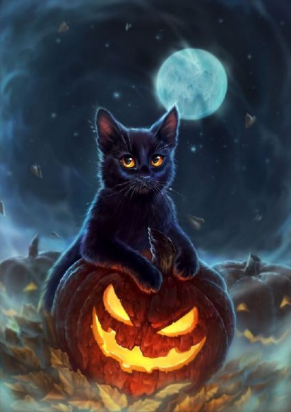 Hình ảnh Halloween mèo bên bí ngô