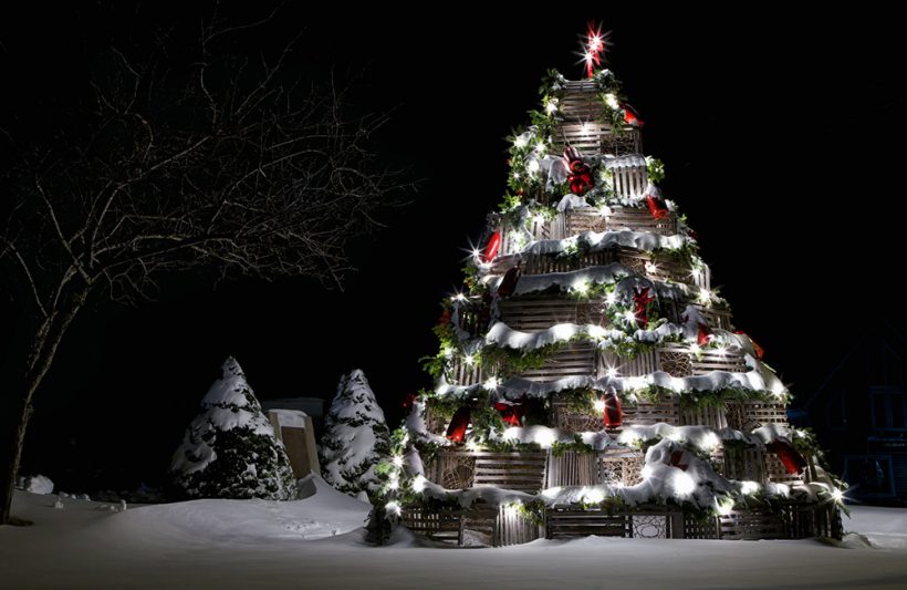 Hình ảnh cây thông Noel khổng lồ phủ đầy tuyết