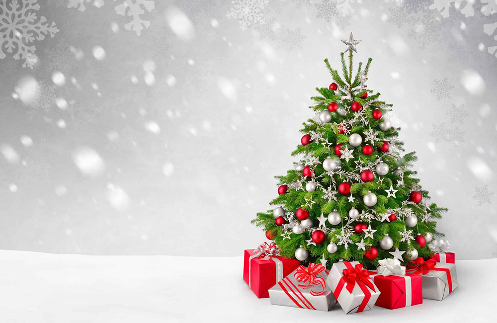 ẢNH Chiêm ngưỡng những cây thông Noel tuyệt đẹp trên khắp thế giới