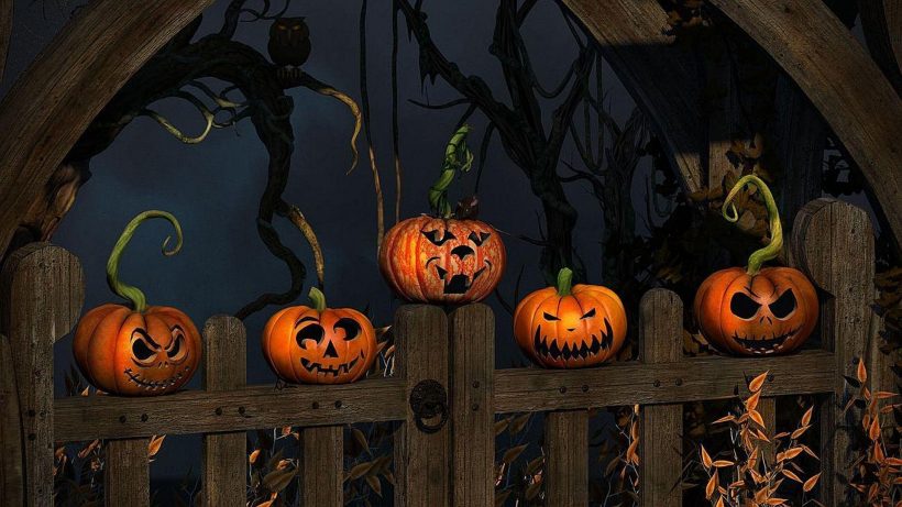 Hình ảnh halloween hàng rào bí ngô