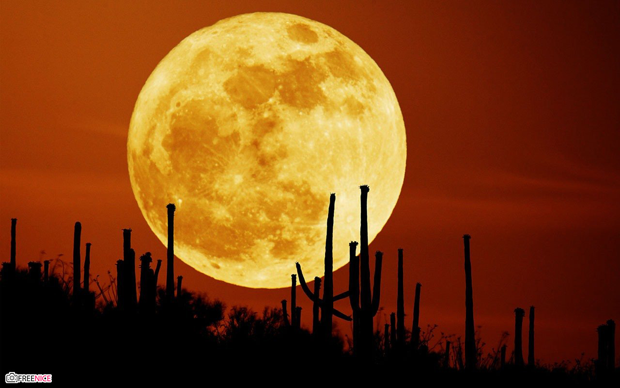 Hình ảnh mặt trăng đẹp lung linh huyền ảo của bầu trời đêm