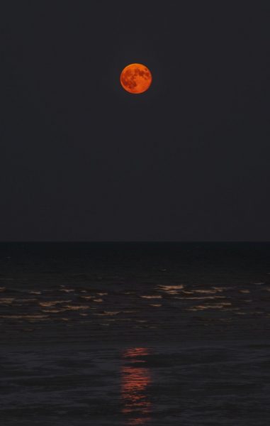 Hình ảnh trăng máu đẹp trên bở biển