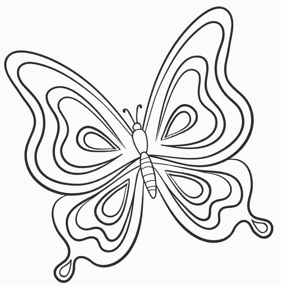 Chi tiết 52 về vẽ tô màu con bướm mới nhất  cdgdbentreeduvn