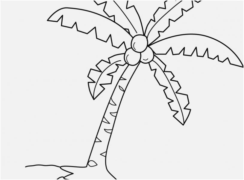 palm tree coloring pages Pic Inspiration Free Coloring Pages Coconuts New Coconut Clipart