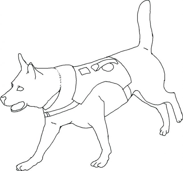 Tranh tô màu con chó mặc áo