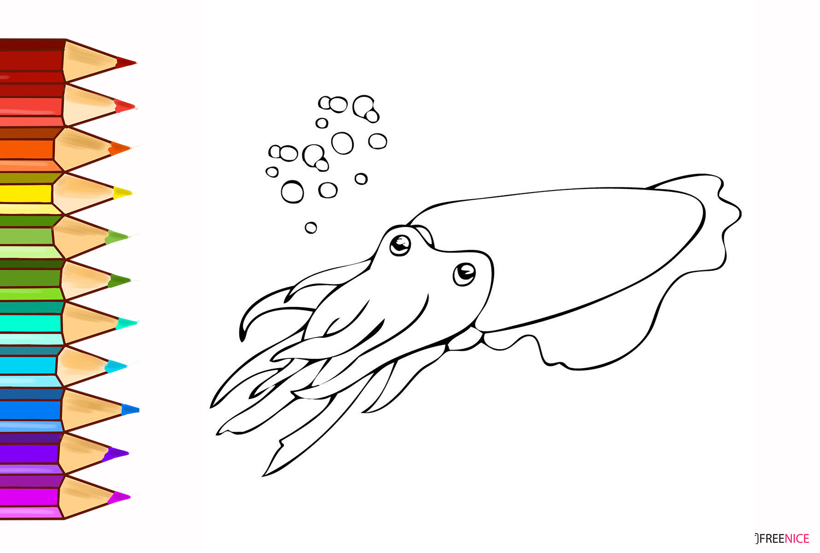 Xem hơn 100 ảnh về hình vẽ sinh vật biển  daotaonec