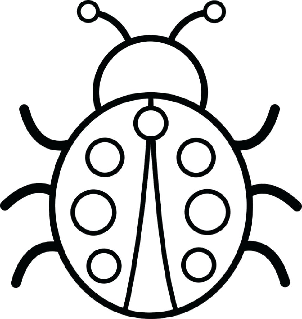 Cách vẽ một con ruồi cho trẻ em  Vẽ Từng Nét Nhỏ