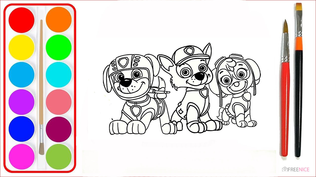 Hình vẽ đội chó cứu hộ  tổng hợp tranh tô màu những chú chó cứu hộ