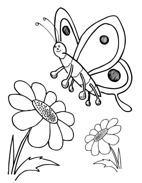Tranh tô màu hoa đồng tiền và chú bướm