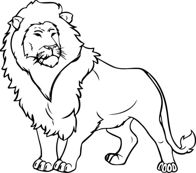 Tranh vẽ sư tử cho bé sáng tạo