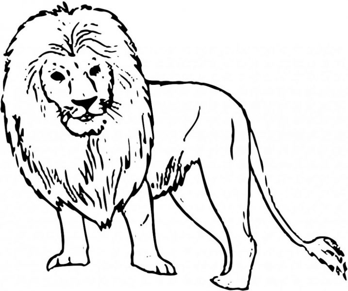 Tranh vẽ sư tử có cái bờm đẹp
