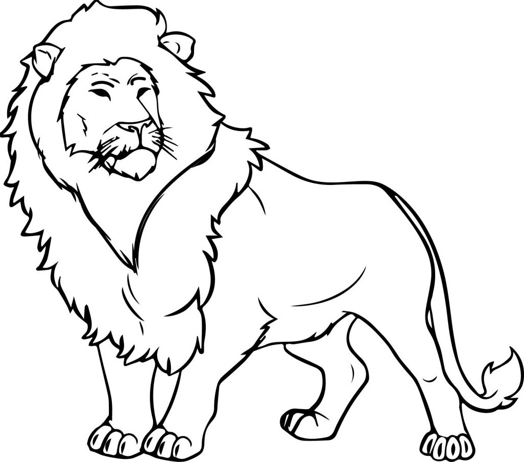 Cách vẽ sư tử  Dạy Vẽ