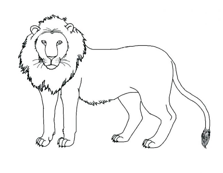 Tranh vẽ sư tử đơn giản nhất