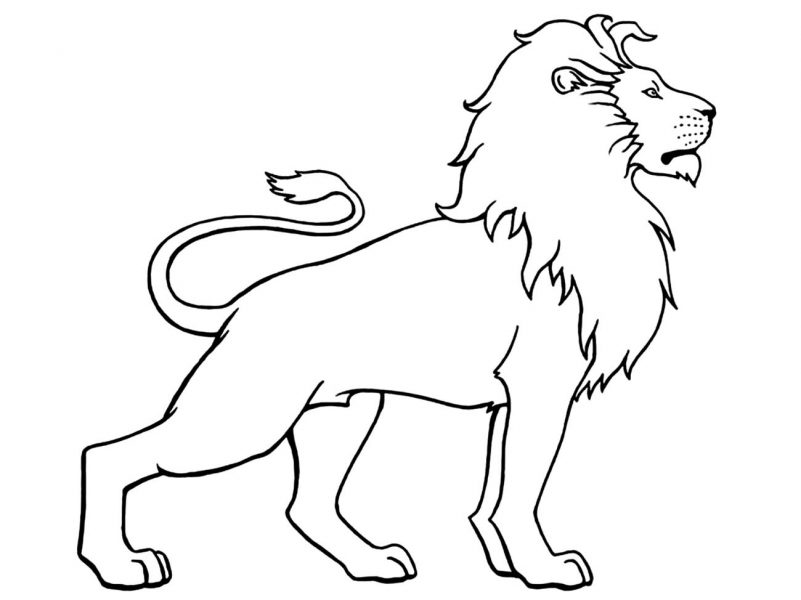 Tranh vẽ sư tử oai hùng