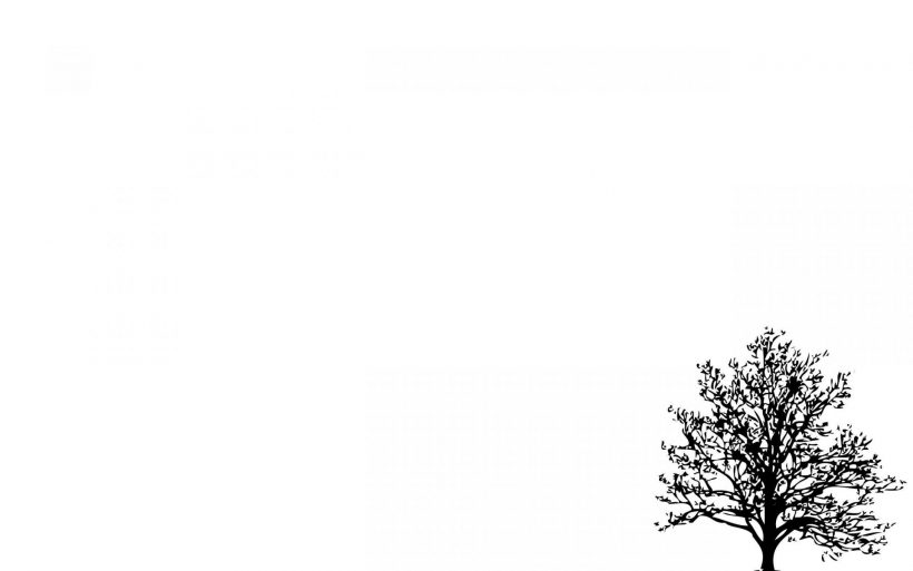 background trắng trơn điểm cây
