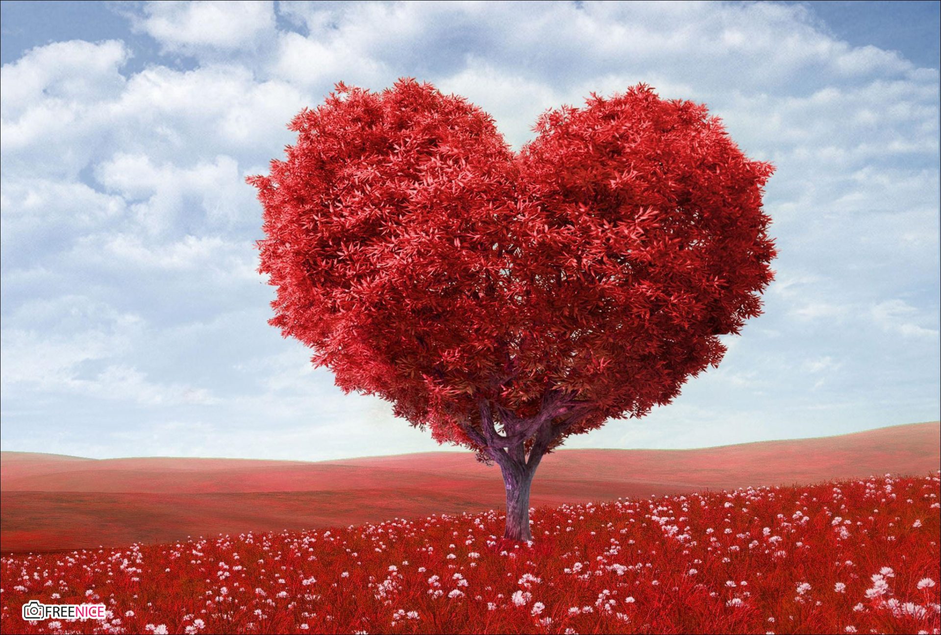 17 hình nền cho tình yêu hình trái tim đẹp lung linh  Hình Ảnh Đẹp HD