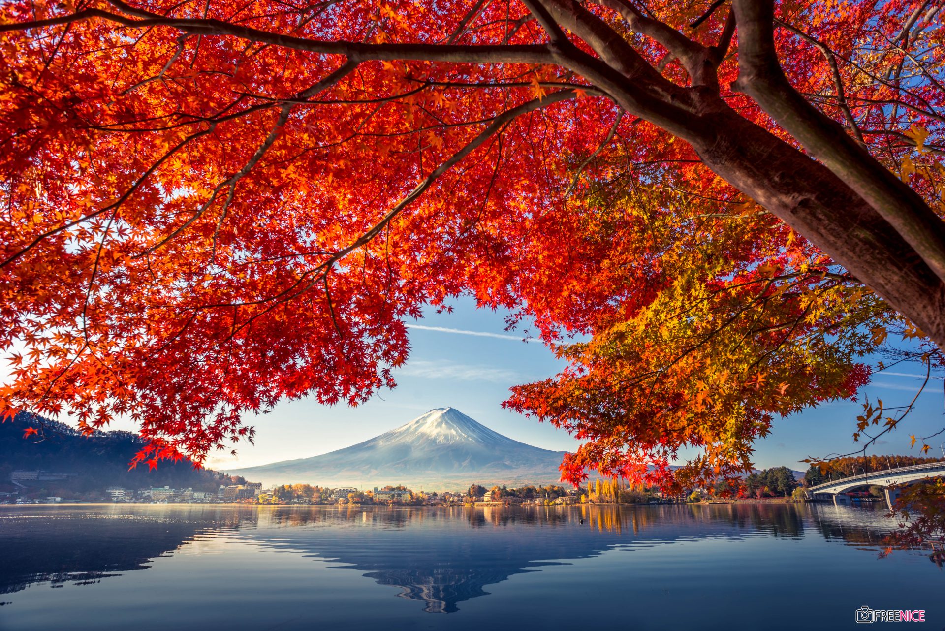 Hình ảnh mùa thu đẹp lãng mạn trên thế giới  Tin Đẹp