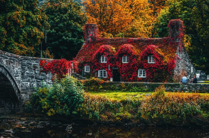 hình ảnh mùa thu ngôi nhà