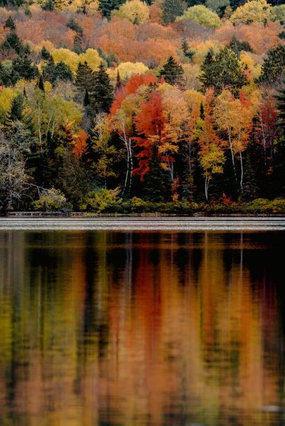 hình ảnh mùa thu ở hồ nước