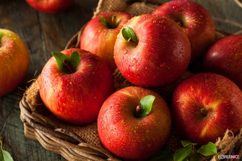 Bạn yêu thích loại quả ngọt ngào và giòn tan này? Hãy đến ngay và xem hình ảnh về \'táo\' để được thưởng thức khung cảnh những quả táo đầy màu sắc đẹp mắt.