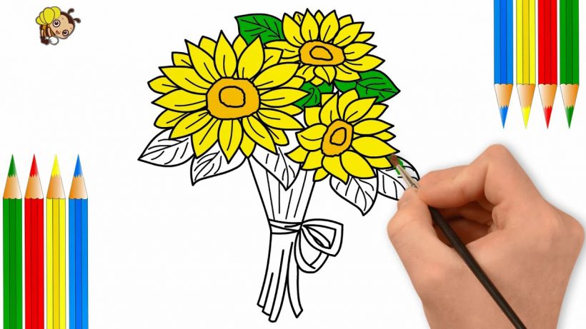 Cách vẽ bông hoa Hướng Dương đẹp