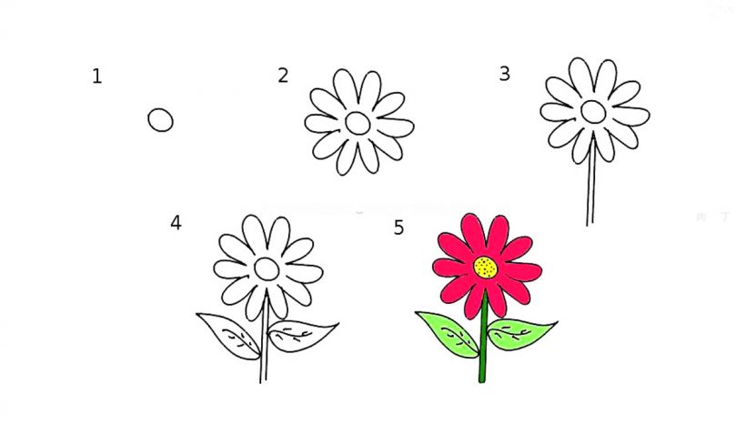 Cách vẽ bông hoa đơn giản