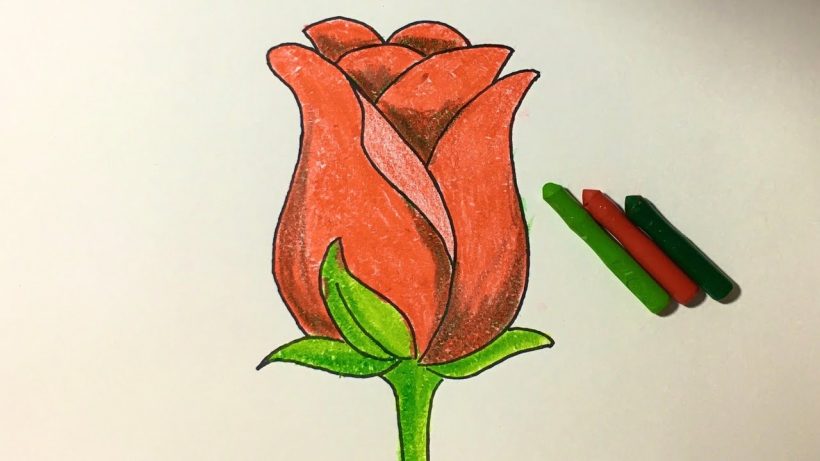 Cách vẽ hoa Hồng đẹp