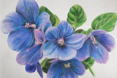 Cách vẽ hoa Violet đơn giản mà đẹp, dễ thực hiện