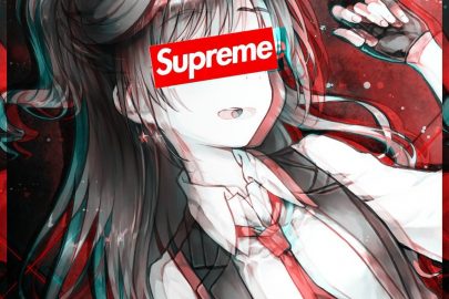 Hình ảnh anime ngầu nữ supreme
